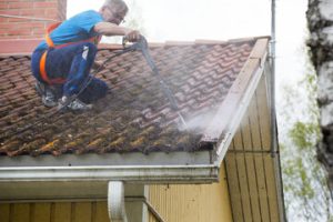 Roof Cleaning